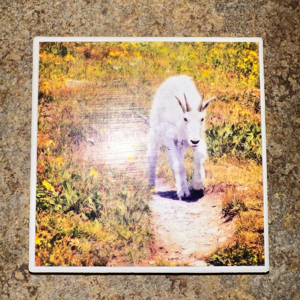 2pcs Kenai Alaska Vintage Ceramic Tile Coaster Set - Picture 2 of 4